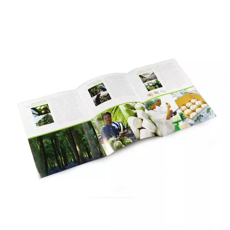 Custom Paper Printed Instruction Folding Leaflet Die Cut Brochure Manual